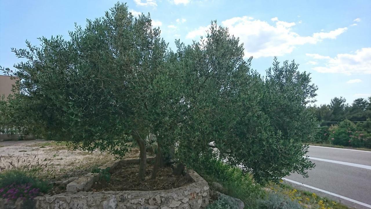 Apartmani Kocka Primošten Exterior foto